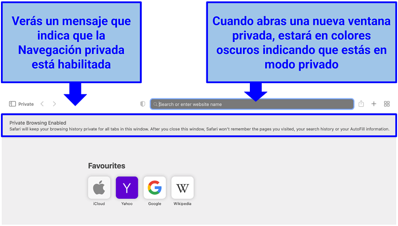 Screenshot of Private Browsing Mode on Safari (MacBook)