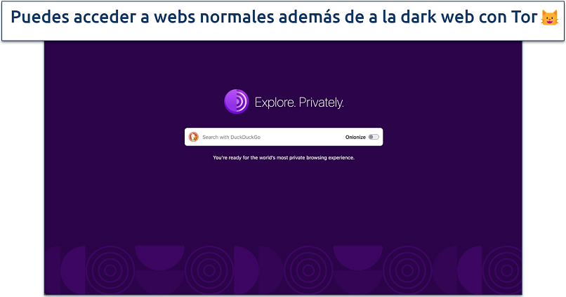 Captura de pantalla de la página de inicio del navegador Tor